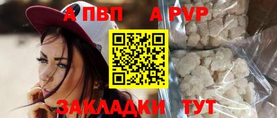 круглые Кингисепп