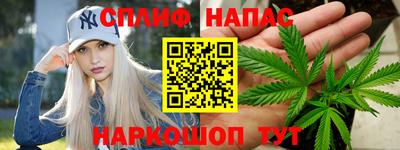 гашик Кимры