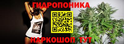 круглые Кингисепп